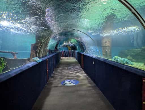 Greater Cleveland Aquarium - Main Image