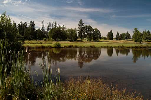 RedTail Golf Center - Main Image