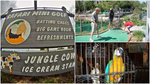 Safari Golf and Games - Main Image