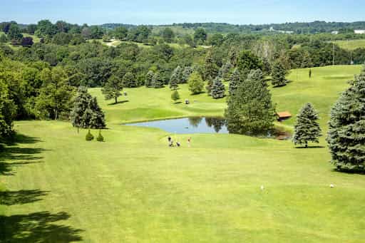 Scallys Par 3 - Main Image