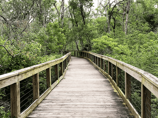 Tree Hill Nature Center - Main Image