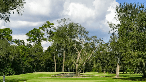Hyde Park Golf Club - Main Image