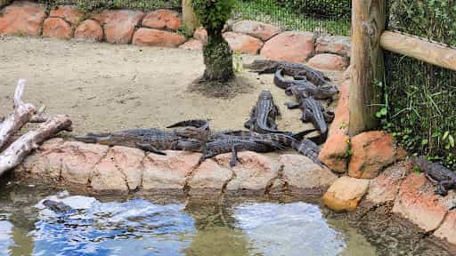 Congo River Golf - Main Image
