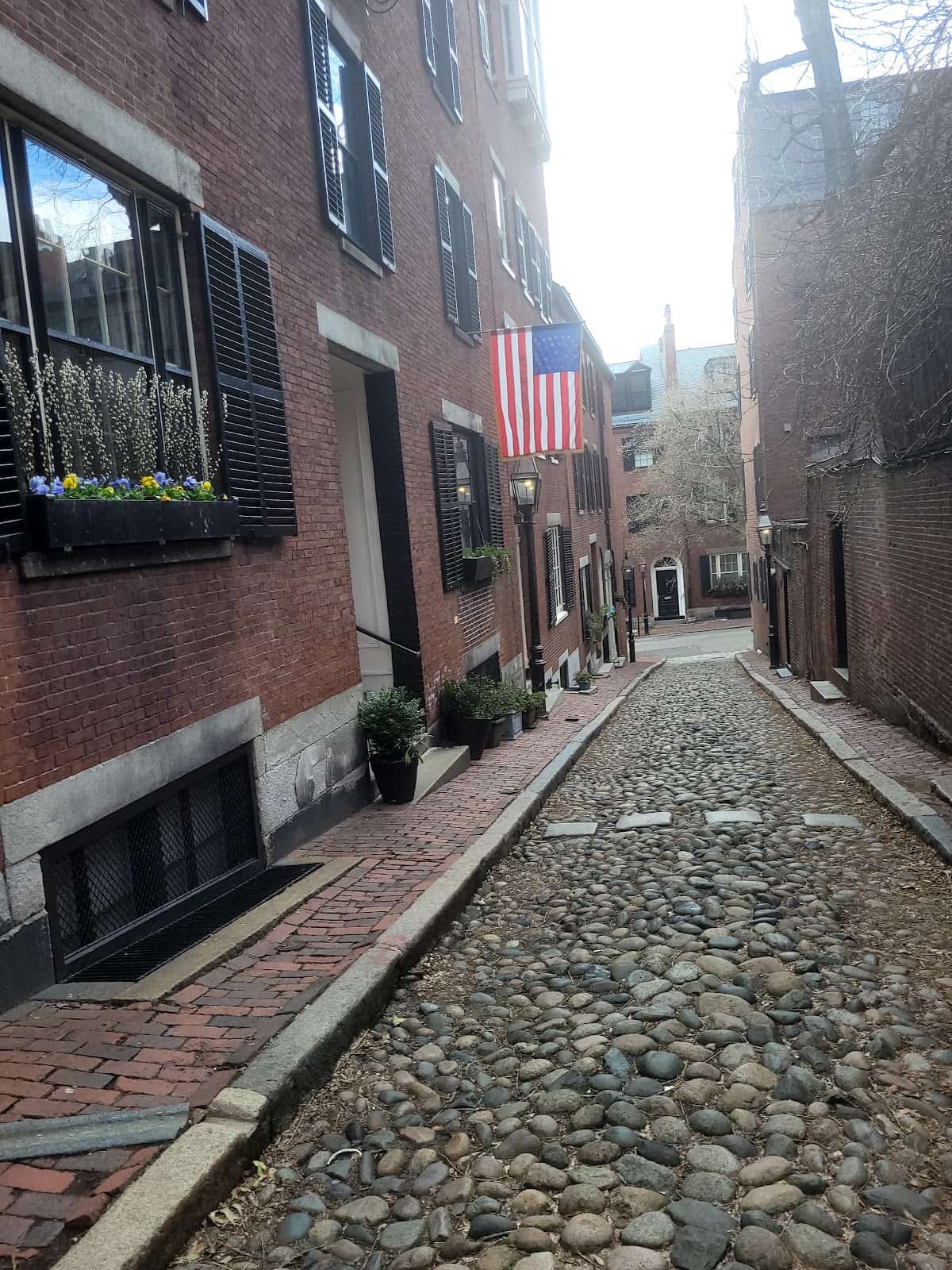 Mini Golf in Boston