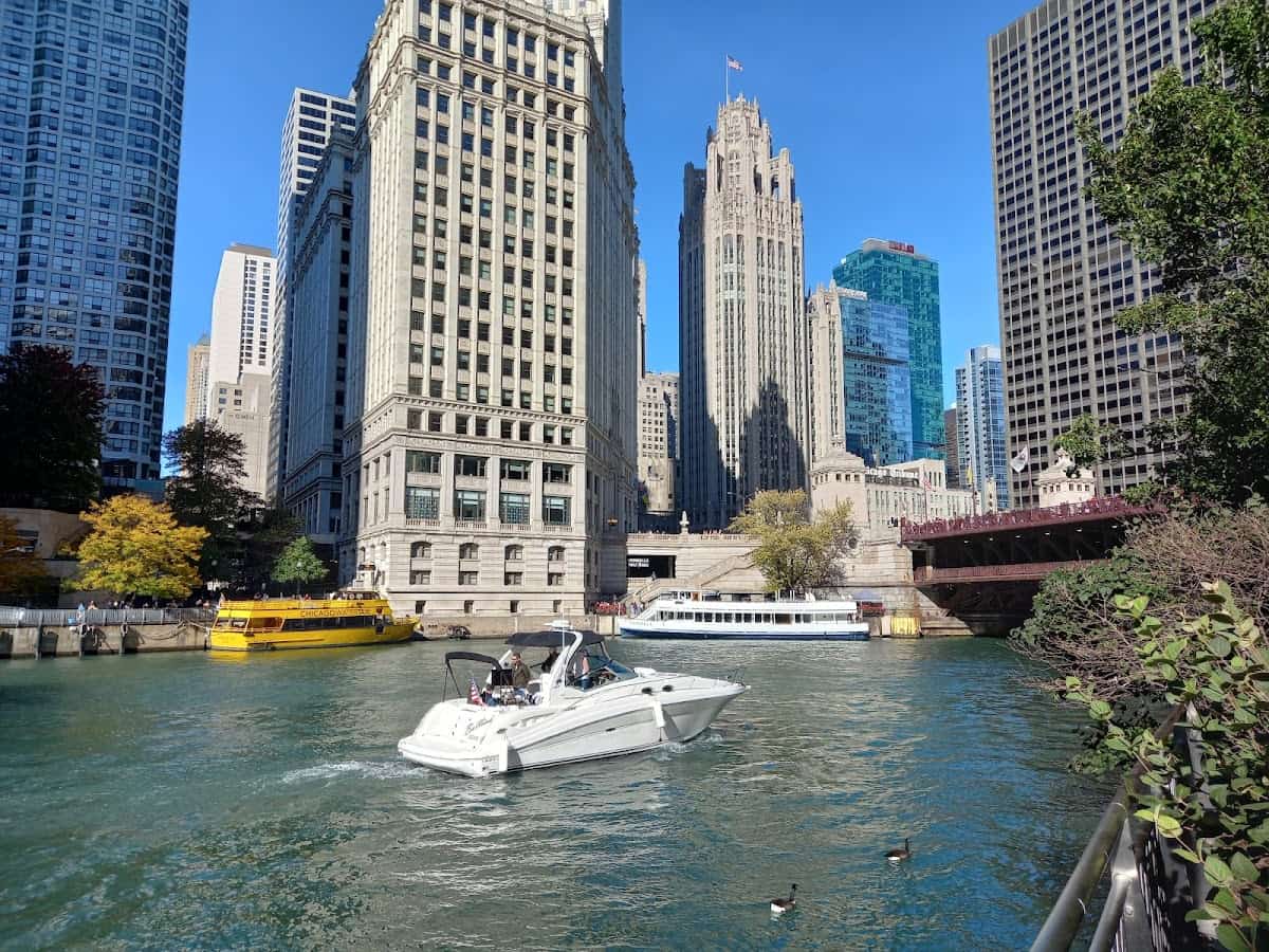 Mini Golf in Chicago