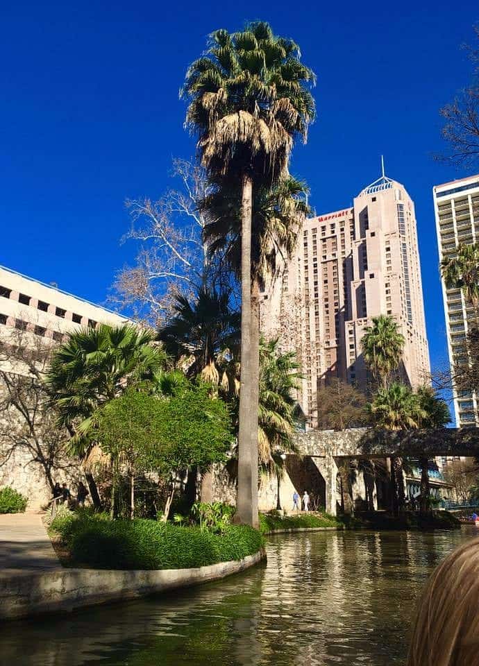 Mini Golf in San Antonio