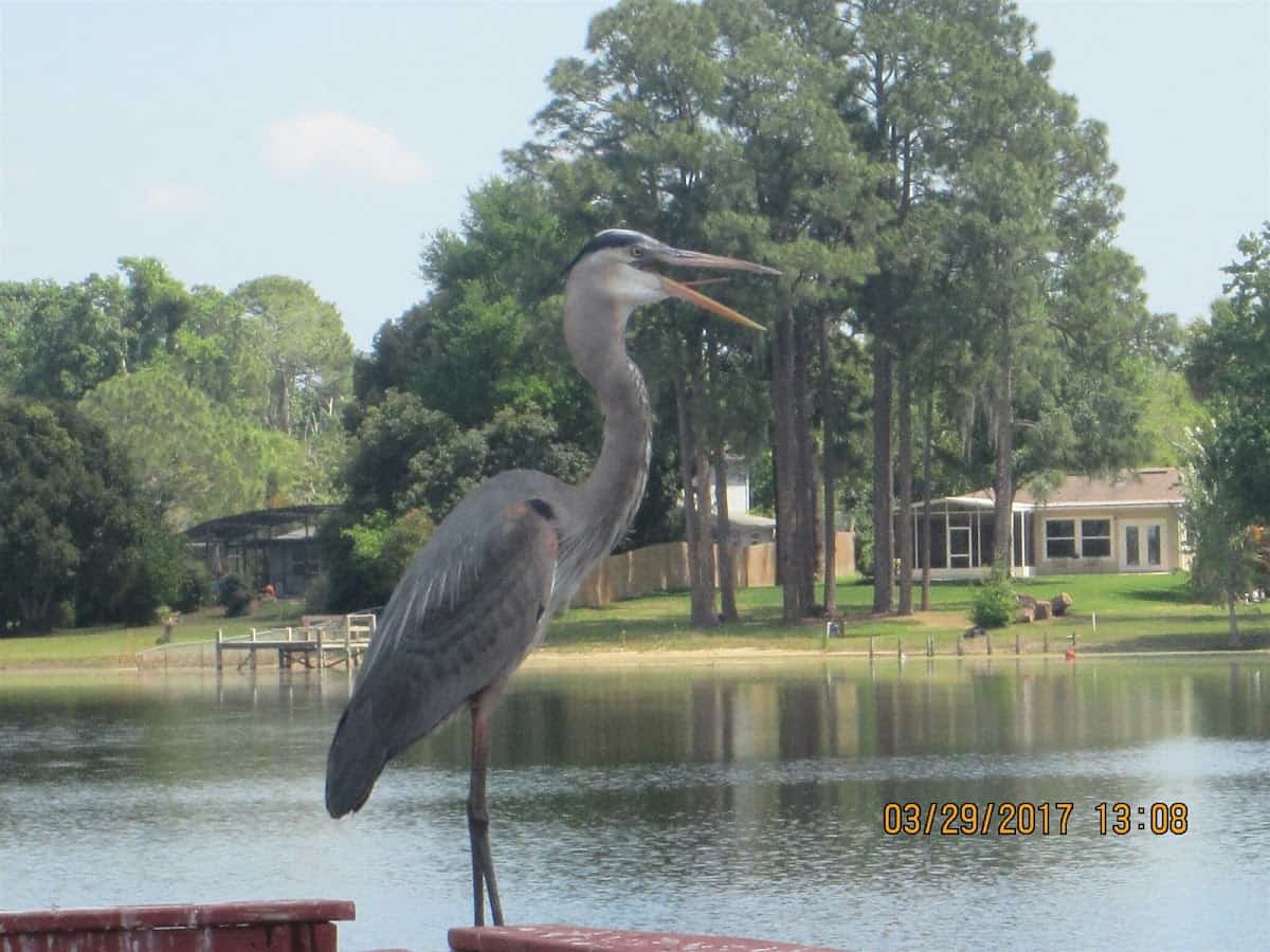 Mini Golf in Seminole County