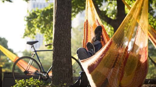 Spruce Street Harbor Park - Main Image