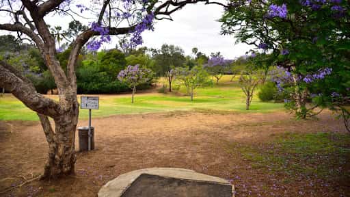 Morley Field Disc Golf Course - Main Image