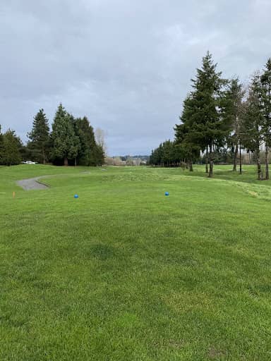 Willows Run Golf Complex