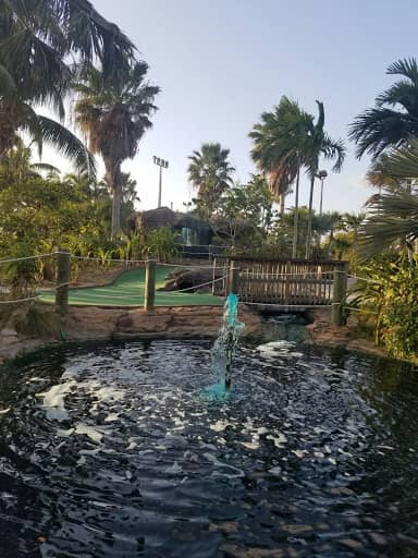Palmetto Mini-Golf