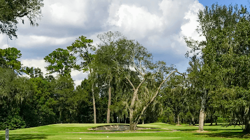 Hyde Park Golf Club - Main Image