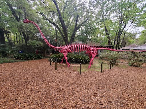 Tallahassee Museum