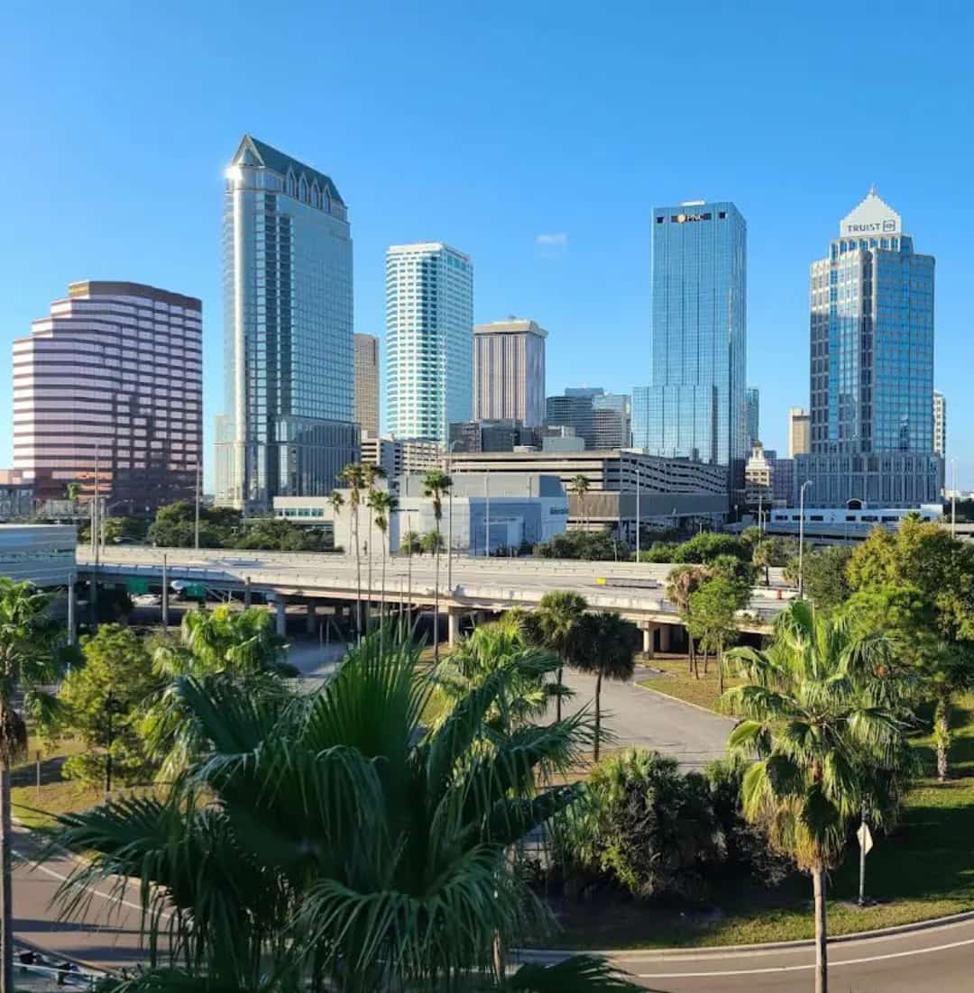 Mini Golf in Tampa